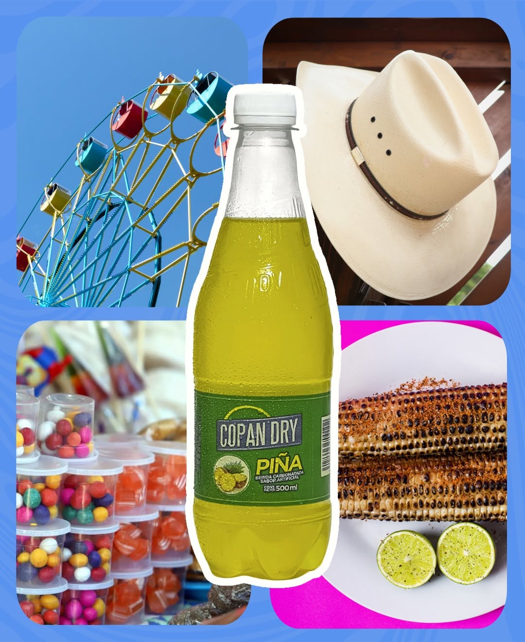 Copan Dry Pina